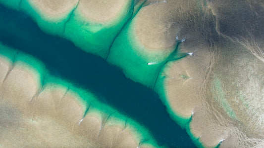 'The Birth of an Island' -  Montgomery Reef